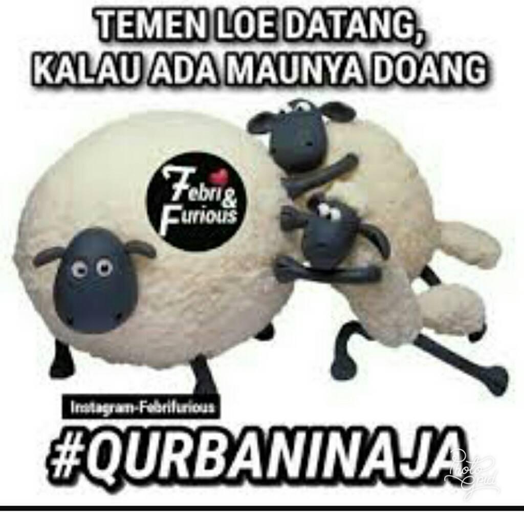 Meme #qurbaninaja Yang Bikin Baper