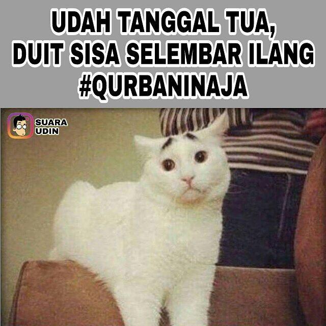 Meme #qurbaninaja Yang Bikin Baper