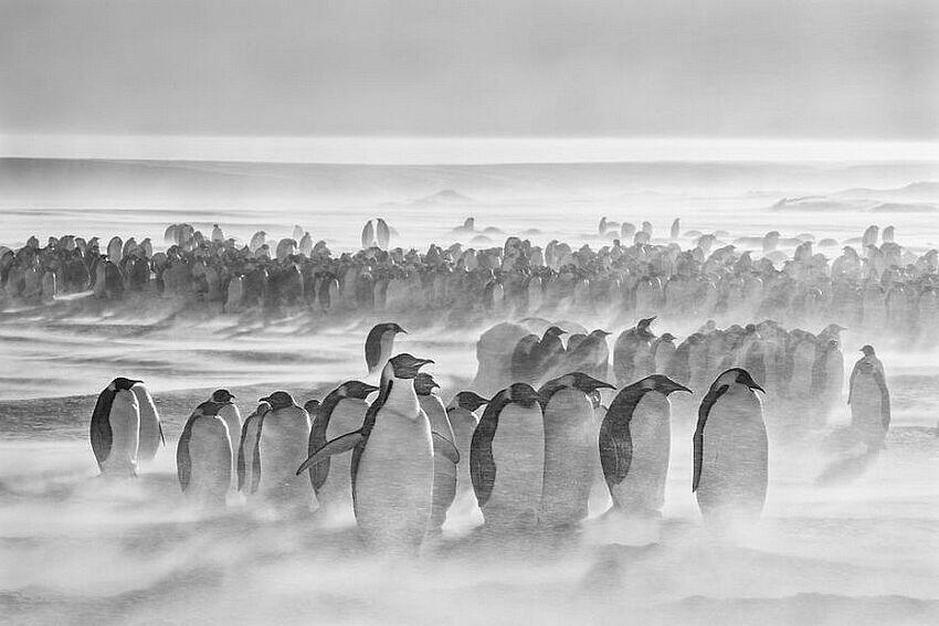 Foto-foto Alam Terbaik dalam National Geographic Traveller 2017