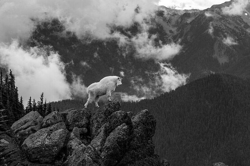 Foto-foto Alam Terbaik dalam National Geographic Traveller 2017