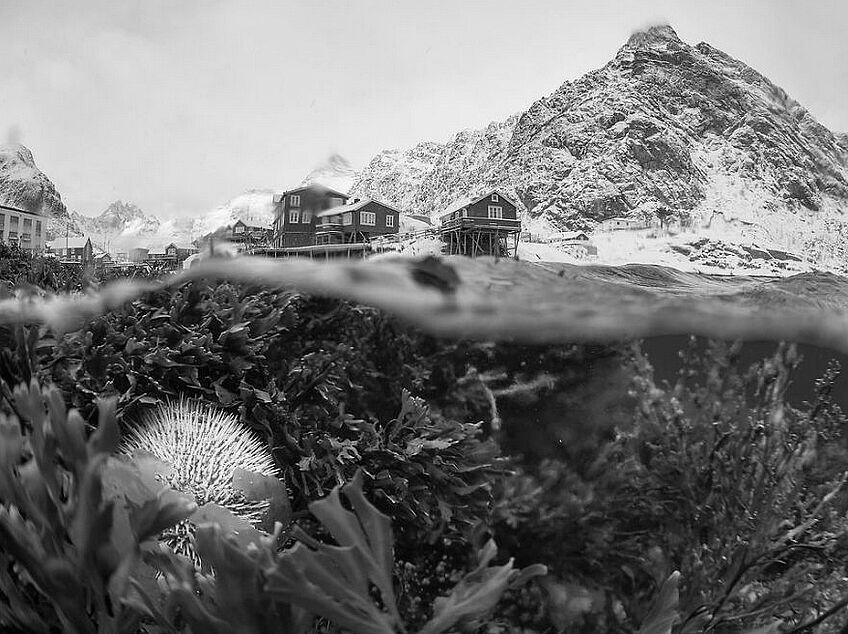 Foto-foto Alam Terbaik dalam National Geographic Traveller 2017