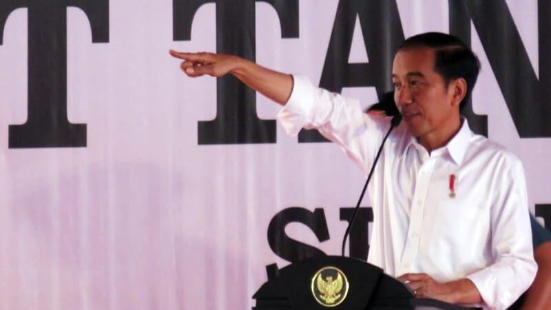 Jokowi Kurban Sapi di 34 Provinsi 