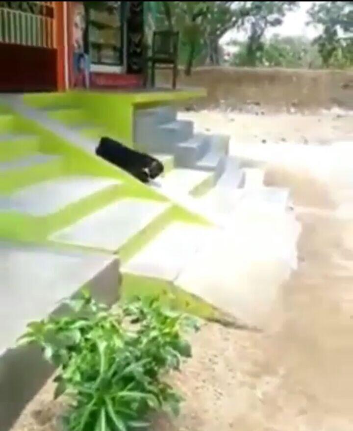 Ragam Qurban 2017 Aneh Tapi Nyata Membuat Kita Takjub