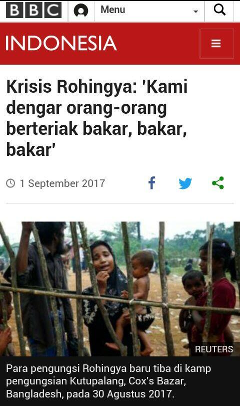 Konflik Rohingya, Alumni 212 Minta Jokowi Usir Dubes Myanmar