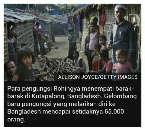 Konflik Rohingya, Alumni 212 Minta Jokowi Usir Dubes Myanmar