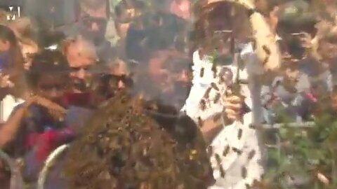 Sejam dikerumuni 100 ribu lebah, pria ini pecahkan rekor baru dunia