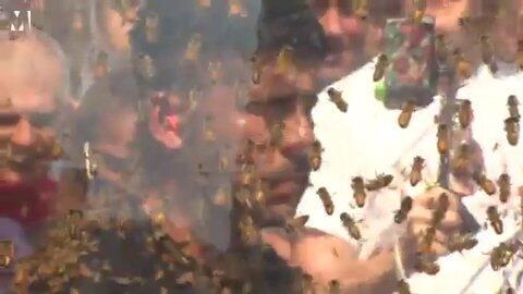 Sejam dikerumuni 100 ribu lebah, pria ini pecahkan rekor baru dunia