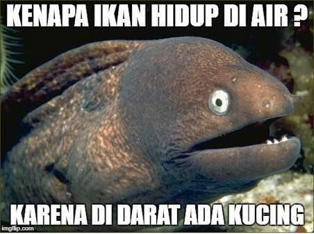 10 Meme tebakan hewan receh abis, bikin ketawa maksa