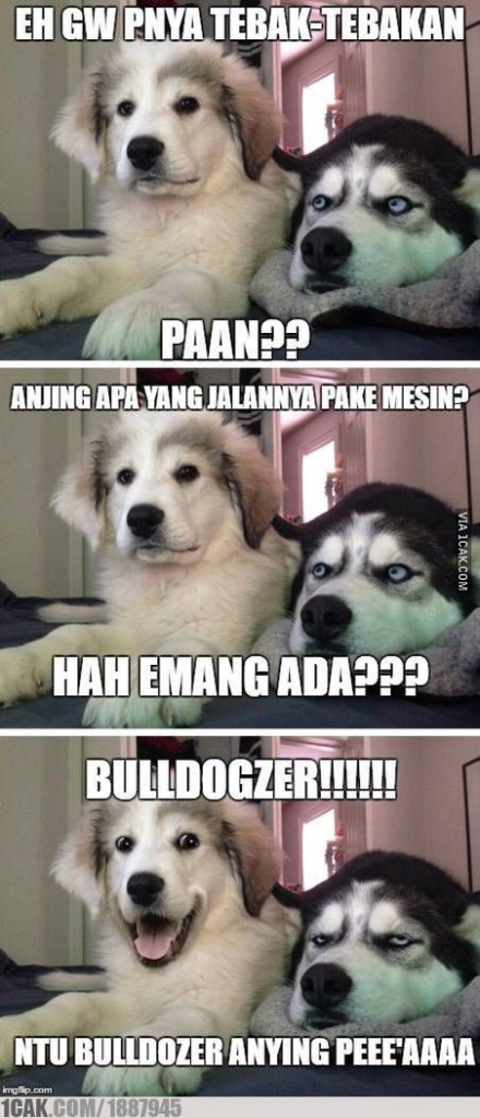 10 Meme tebakan hewan receh abis, bikin ketawa maksa