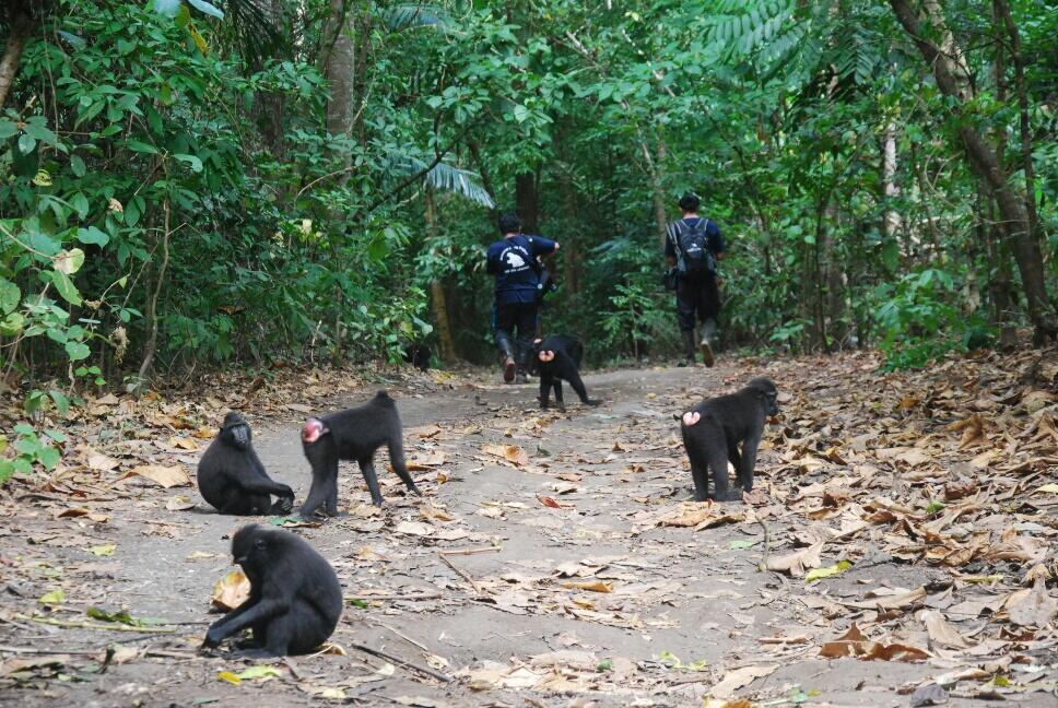 10 OBYEK WISATA UNIK DI INDONESIA