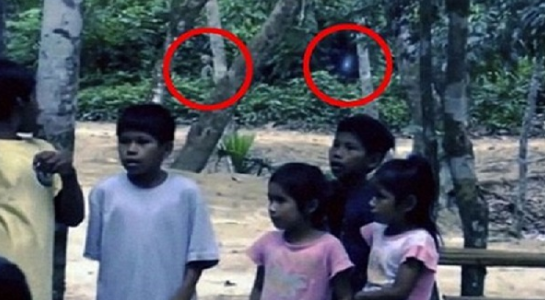 Ini Gan 4 Misteri tentang Hutan yang Tak Bisa Dijelaskan