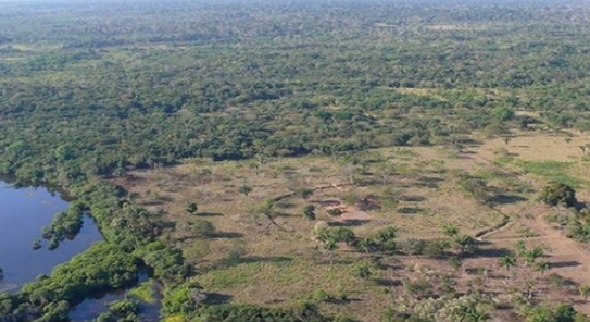 Ini Gan 4 Misteri tentang Hutan yang Tak Bisa Dijelaskan