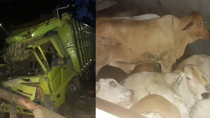 Korban Kecelakaan di Jalan Nagreg Diduga Dijadikan Tumbal, Ini Alasannya