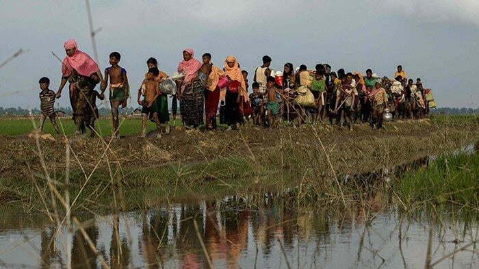 Bukan Hanya Rohingnya, Jokowi Juga Diminta Perhatikan Nasib Pengungsi Sampang Madura