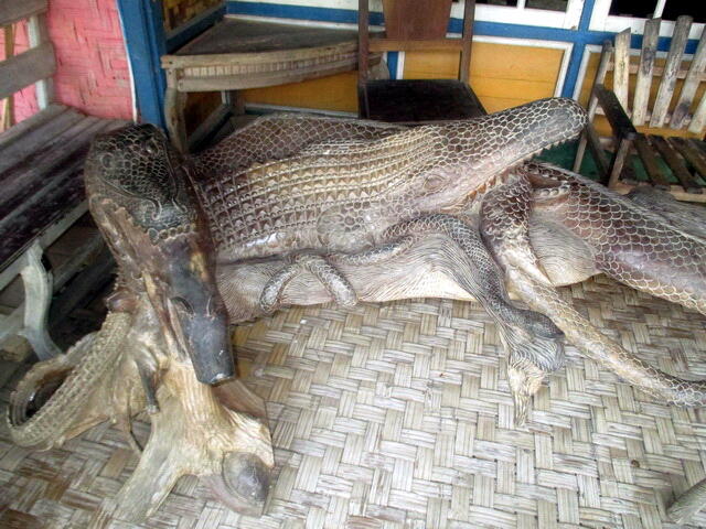 Peluang Usaha - Komisi 10% Untuk Pencari Buyer Kayu Ukiran Bentuk Ular Dan Buaya 