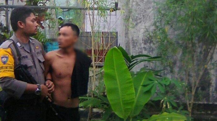 Seorang Pemuda di Lhokseumawe Ditangkap Polisi Gara-gara Tanam Ganja di Samping Rumah