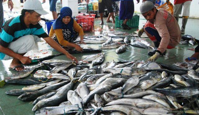 Dari Budidaya hingga Teknologi, Cara Meningkatkan Konsumsi Ikan