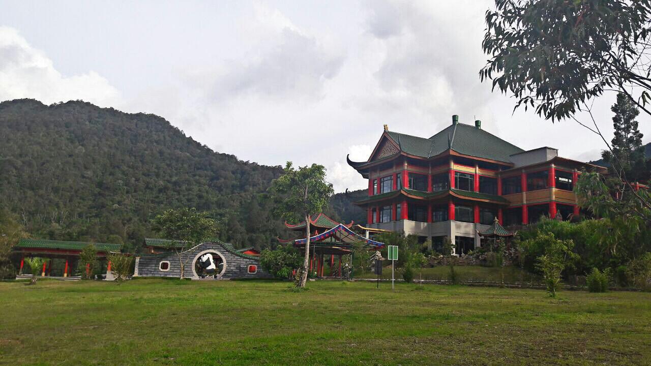 Panda dari Tingkok akan jadi penghuni Taman Safari Indonesia