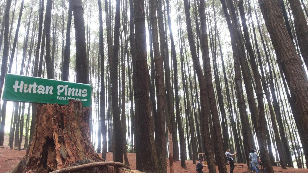 10 SURGA TERSEMBUNYI TERPOPULER DI INDONESIA