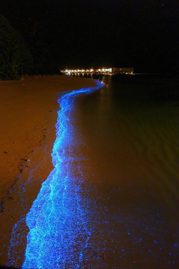 Pantai Langkah Unik Indah di Dunia
