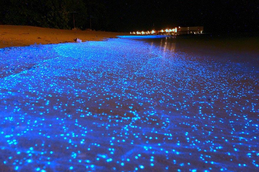 Pantai Langkah Unik Indah di Dunia