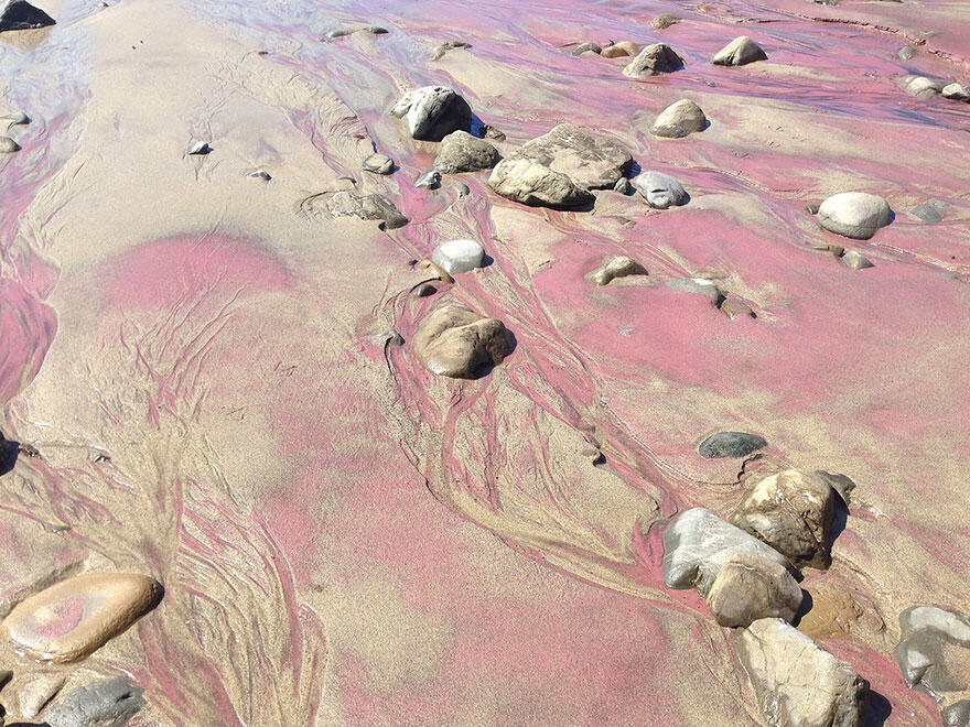 Pantai Langkah Unik Indah di Dunia