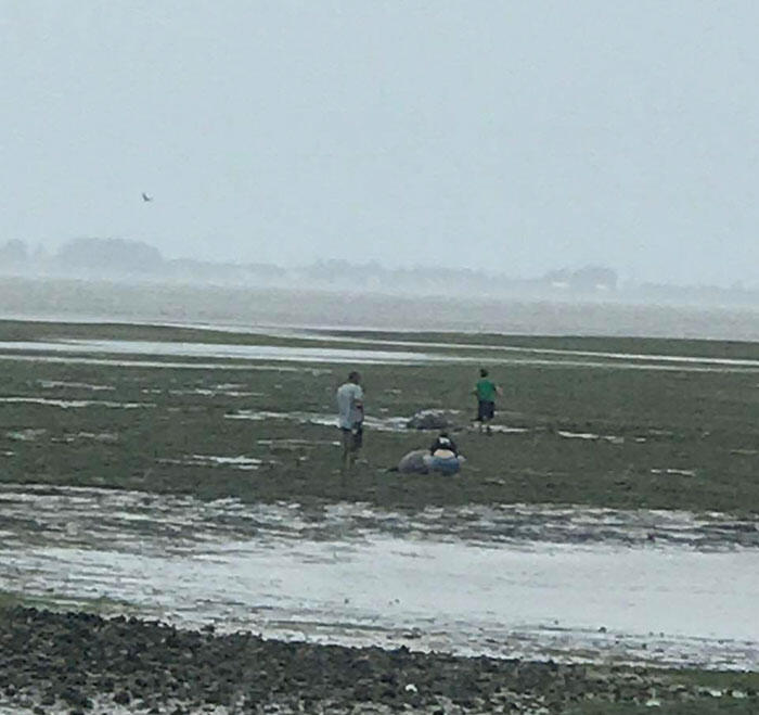 Foto-foto Dahsyatnya Badai Irma yang Hilangkan LAUTAN