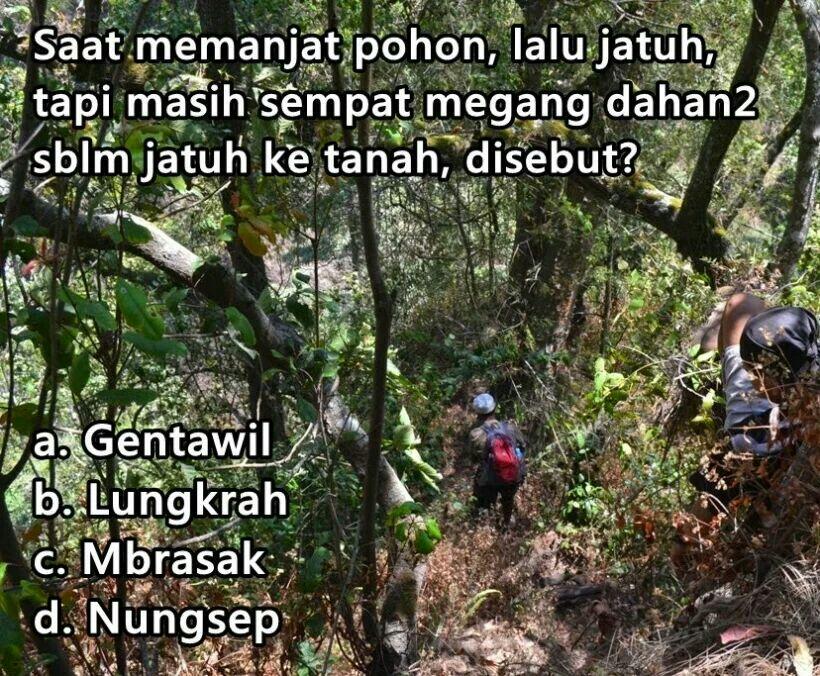 Bantu Jawab Tes bahasa Jawa Ala TOEFL