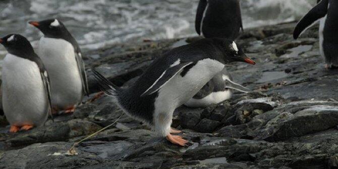 7 Penelitian yang dianggap paling tidak penting sepanjang sejarah!