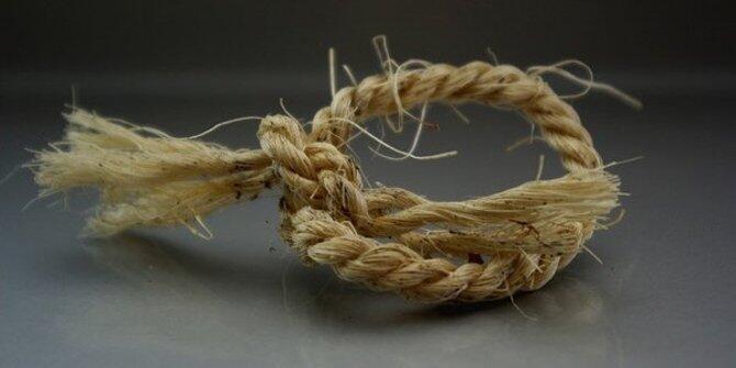 7 Penelitian yang dianggap paling tidak penting sepanjang sejarah!