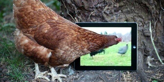 7 Penelitian yang dianggap paling tidak penting sepanjang sejarah!