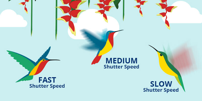 8 Panduan Memotret Mode Manual di Smartphone