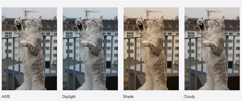 8 Panduan Memotret Mode Manual di Smartphone