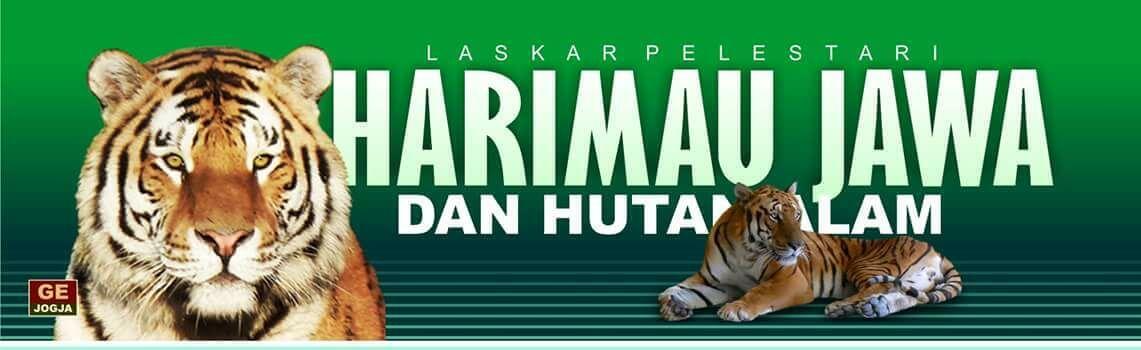 Harimau Jawa Si Kucing Pemangsa Banteng Cidaon