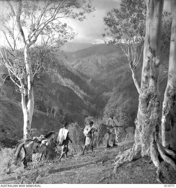 Perang Oesao (Battle of Timor)