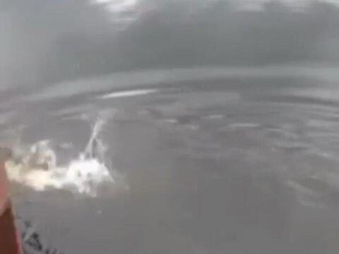 Viral! Video Pawang Dimangsa Buaya di Sungai di Kutai Kaltim