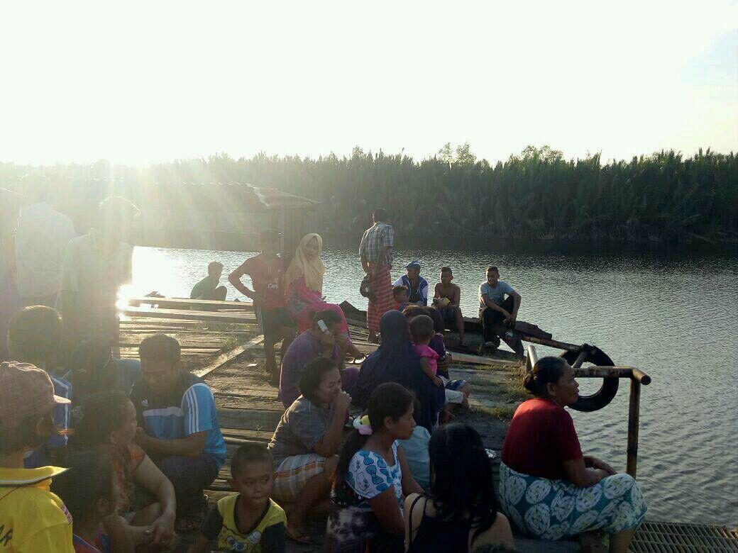 Pawang Jadi korban Kedua Disambar Buaya Muara Di Kutai Kertanegara
