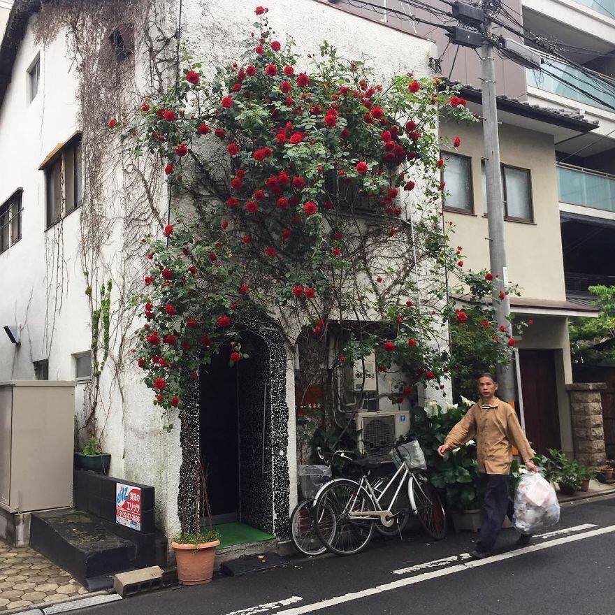 Mengintip Bangunan Rumah di Jepang Yang Berukuran Kecil dan Nyaman