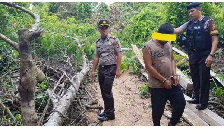 Aksi Bos Perambah Kuasai Ratusan Hektare Hutan Jambi