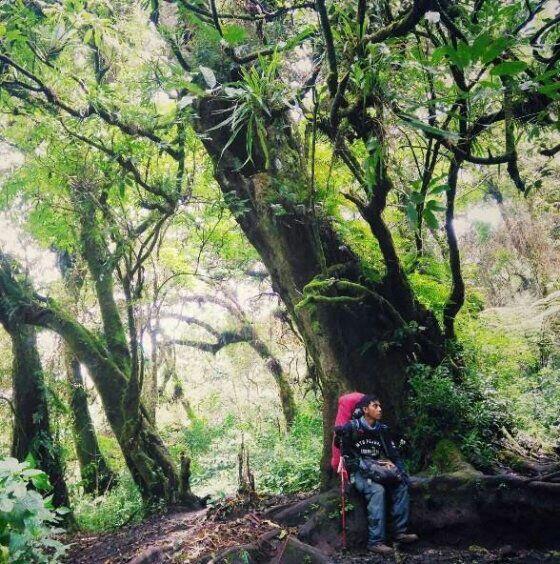 Fakta Penting Yang Ada di Gunung Slamet Yang Harus Kamu Ketahui