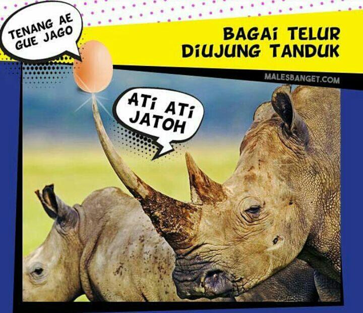 Ternyata ada cerita di balik 8 peribahasa ini