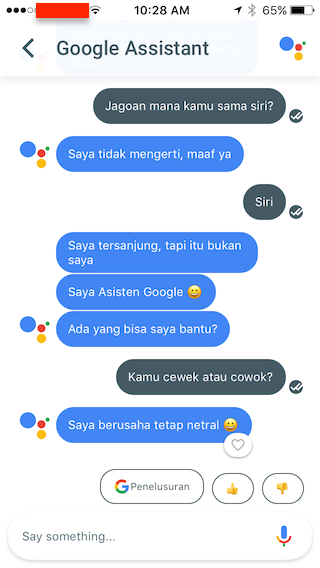 Fitur Lumayan Asoy di Google Assistant 