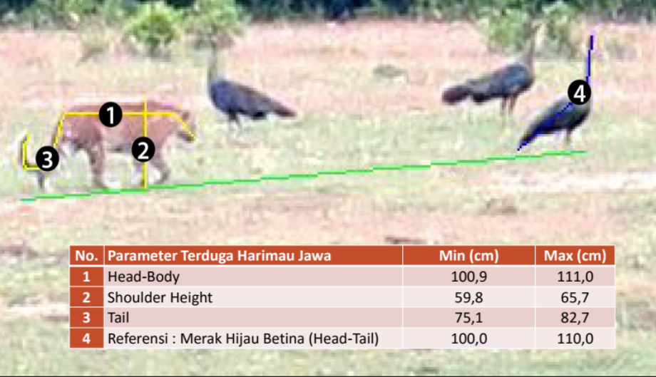 Punah di Ujung Bedil Belanda