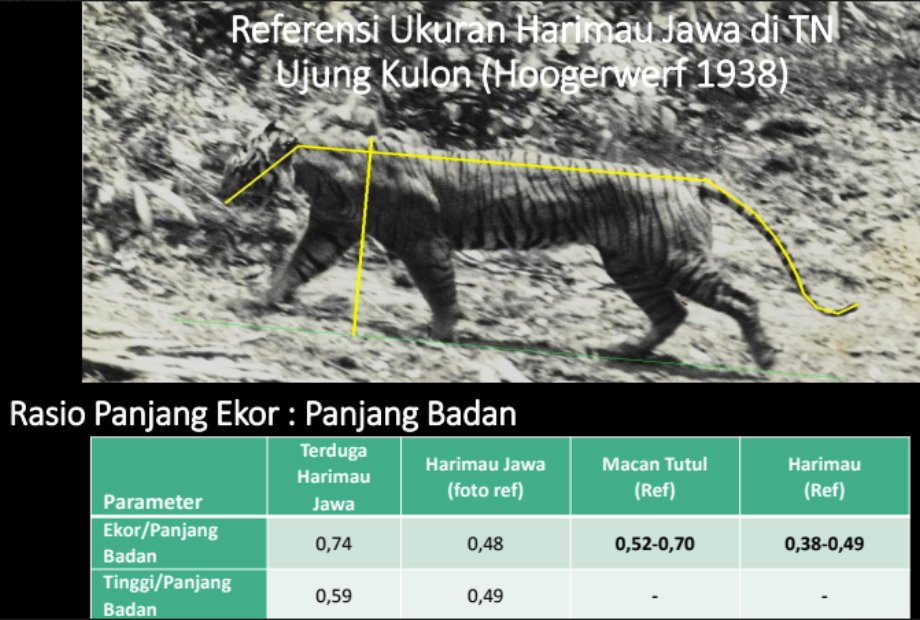 Punah di Ujung Bedil Belanda