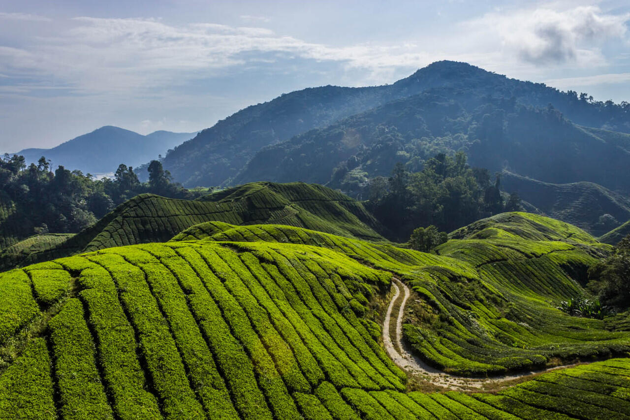 Tempat Wisata Di Malaysia Yang Bisa Kamu Kunjungi