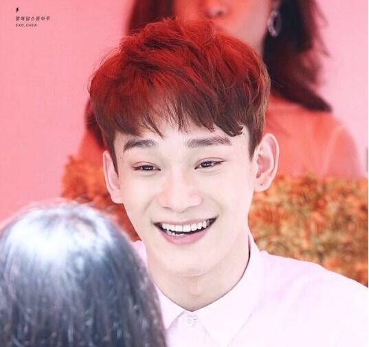 CHEN EXO PROFIL HARI ULANG TAHUN 2017