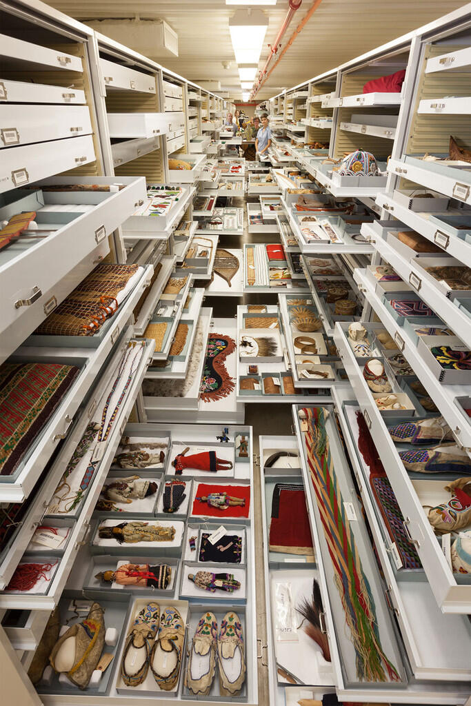 11 Foto koleksi The National Museum of Natural History ini memukau