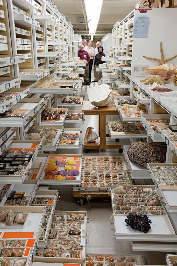 11 Foto koleksi The National Museum of Natural History ini memukau