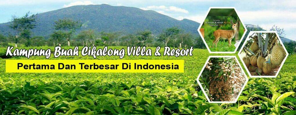 RAHASIA BOOMING MEIKARTA yang jarang diketahui oleh para Pebisnis Pemula
