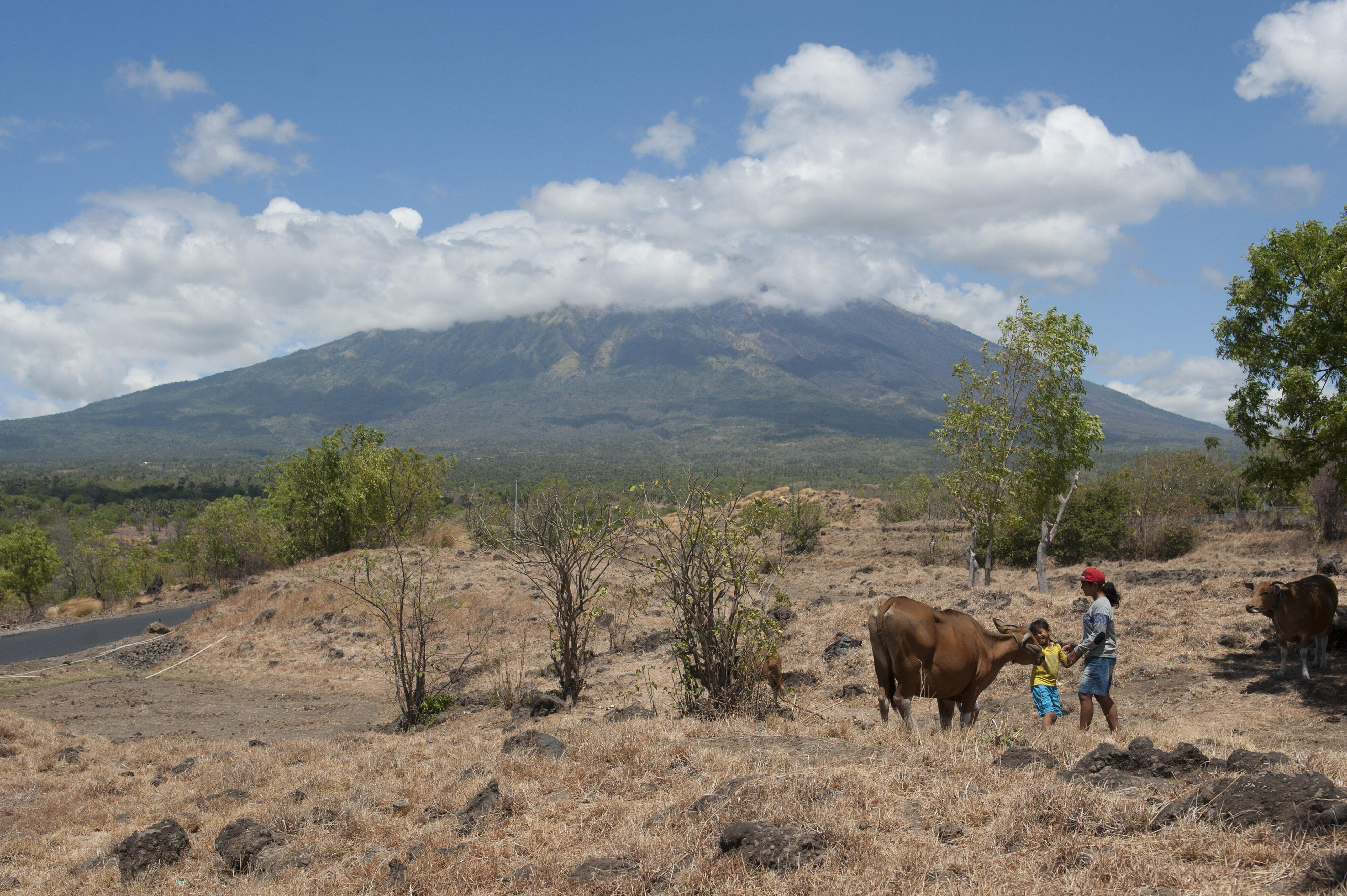 Upaya BNPB Mencegah Gunung Agung Memakan Korban